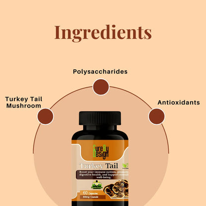 Illustration of a supplement bottle labeled 'Turkey Tail' with ingredients highlighted on a beige background.