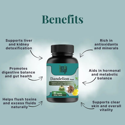 Bottle of Dandelion Root capsules with labeled benefits on a light blue background