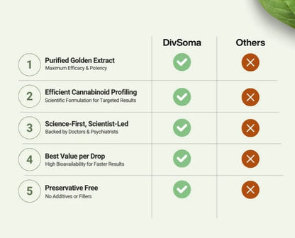 Comparison chart between DivSoma and others in various categories on a white background.