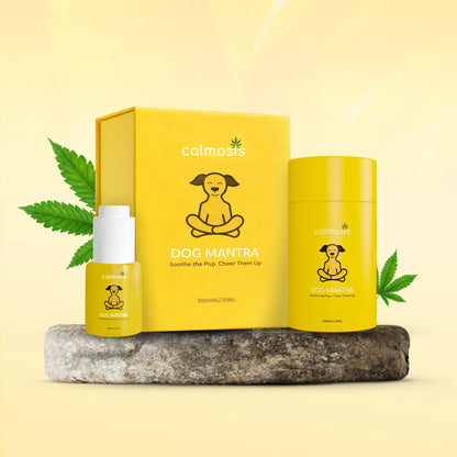 Yellow 'calmosis' cbd product packaging with a dog illustration on a light yellow background