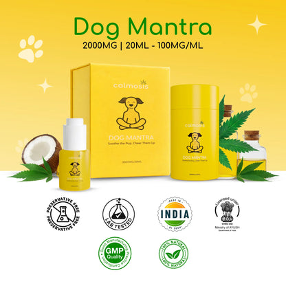 Dog Mantra pet CBD product packaging with yellow background, bottle, and box.