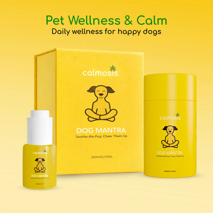 Yellow packaging of calmosis Dog Mantra CBD product with a bottle on a yellow background