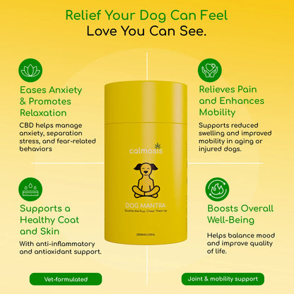 Yellow container with 'Calmosis' branding on a yellow background with text about CBD benefits for dogs.