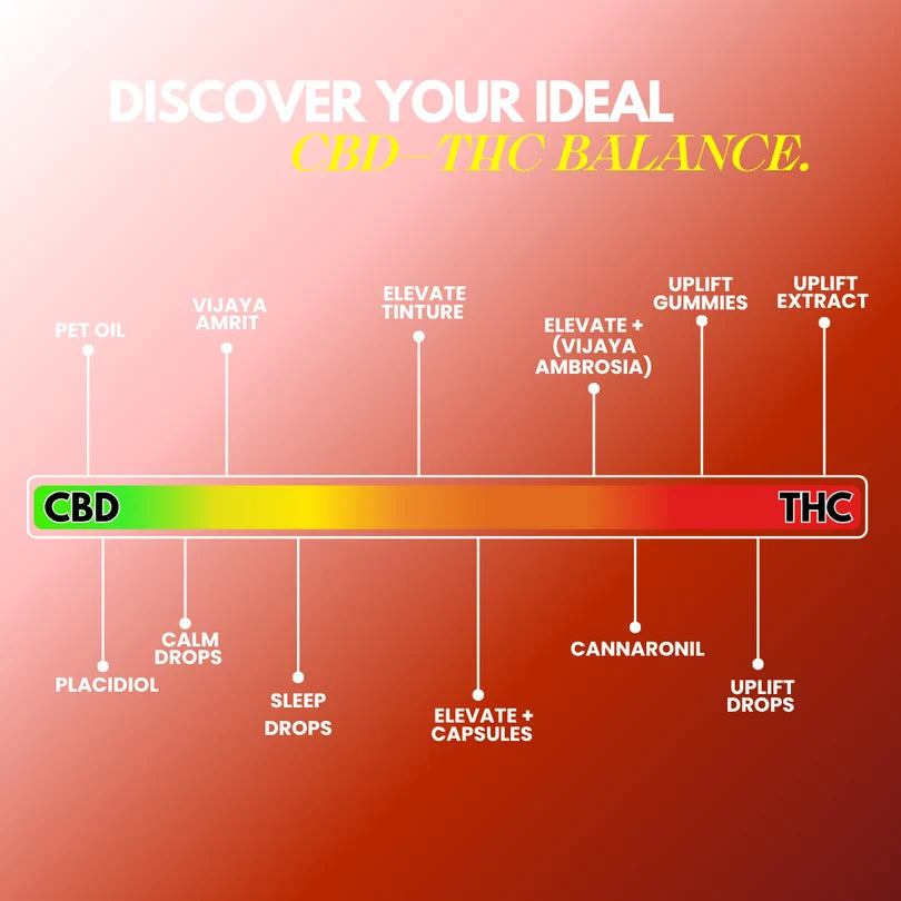 An infographic titled 'DISCOVER YOUR IDEAL CBD - THC BALANCE.' on a red-to-orange gradient background, showing a horizontal spectrum labeled CBD on the left and THC on the right, with labeled product types such as pet oil, Vijaya Amrit, Elevate Tincture, and others connected by lines.