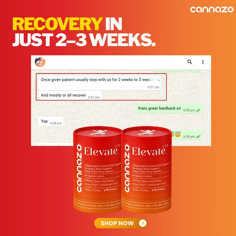 Promotional graphic for Cannazo Elevate 21 capsules showing two red cylindrical bottles on a red-to-orange gradient background, with large text reading 'RECOVERY IN JUST 2-3 WEEKS.' and a chat screenshot above the products.