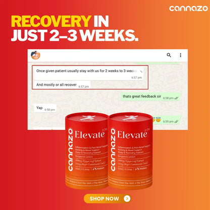 Promotional graphic for Cannazo Elevate 21 capsules showing two red cylindrical bottles on a red-to-orange gradient background, with large text reading 'RECOVERY IN JUST 2-3 WEEKS.' and a chat screenshot above the products.