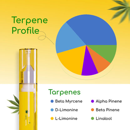 Terpene profile chart with a cannabis oil dropper and leaf illustrations on a yellow background