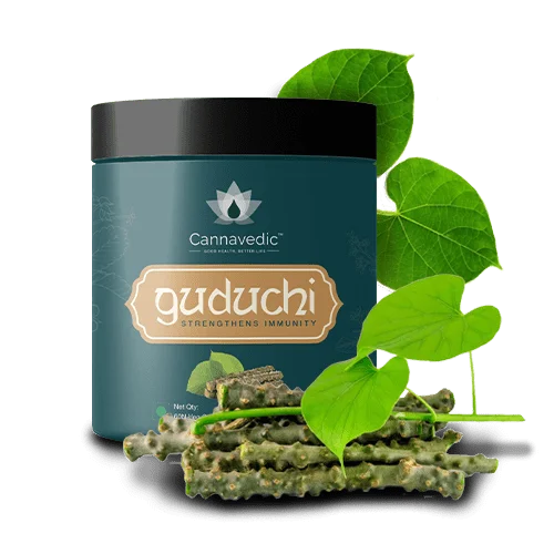 Image of premium guduchi capsules in a sleek green container, available at CBD Shop of India