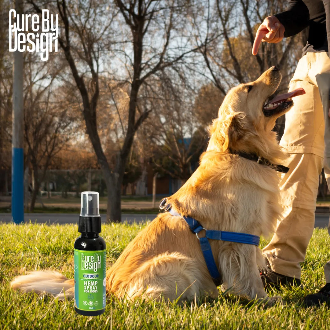 Dog sitting on grass with a bottle of 'Cure By Design' product in front