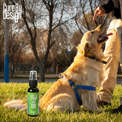 Dog sitting on grass with a bottle of 'Cure By Design' product in front