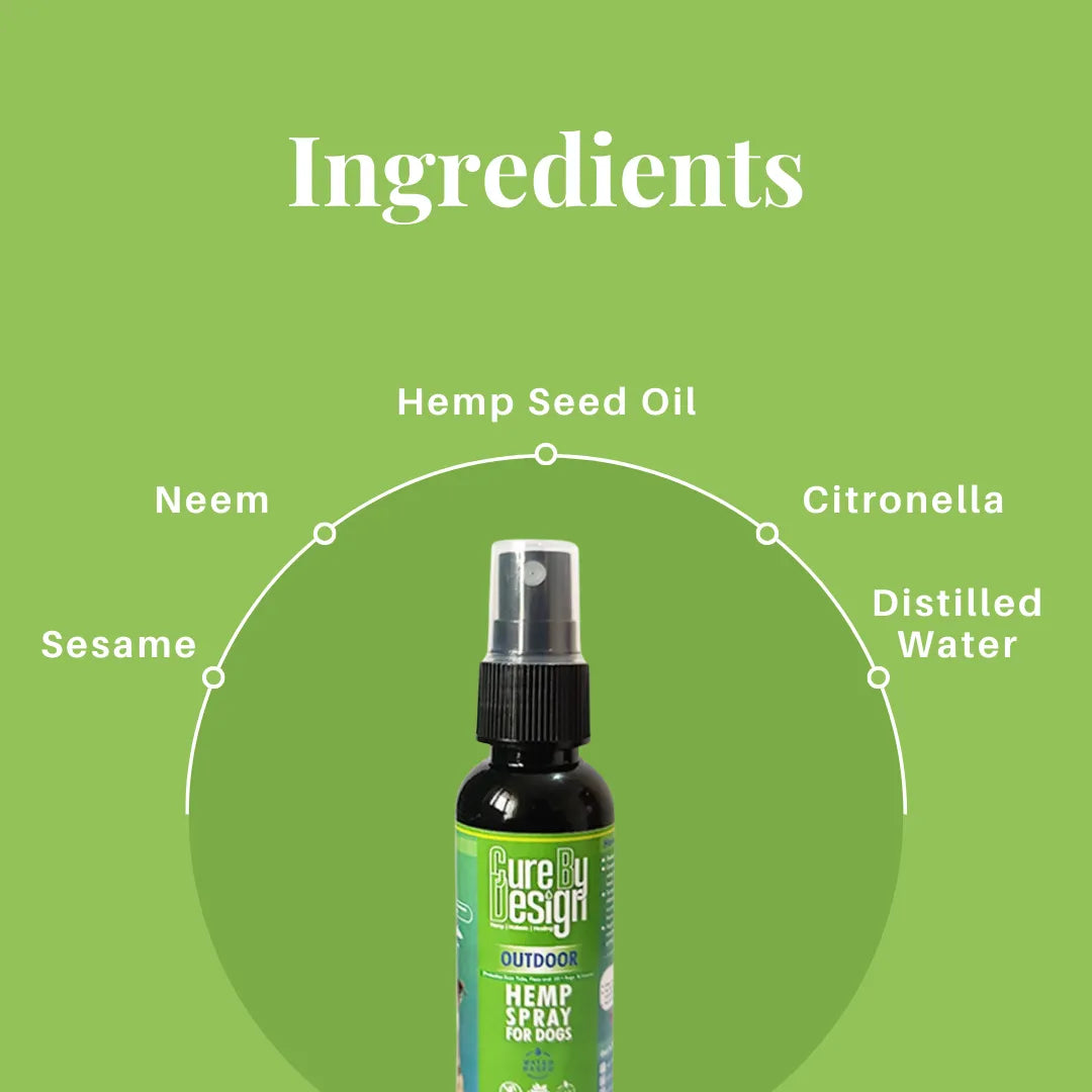 Hemp spray bottle with labeled ingredients on a green background
