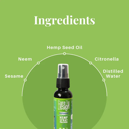 Hemp spray bottle with labeled ingredients on a green background