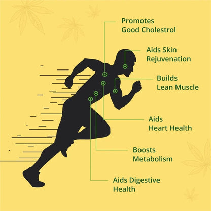 Hampa: Hemp Seed Oil