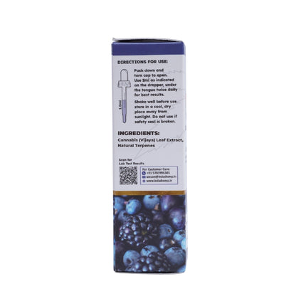 CBD Oil Supplement bottle with blueberries and text on a white background