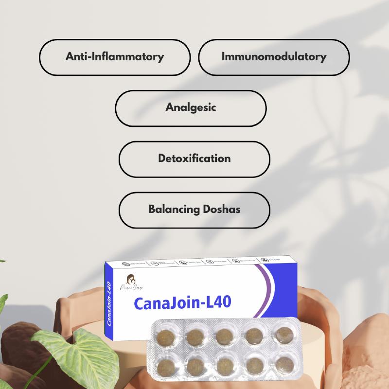 Packaging of CanaJoin-L40 tablets from Paarmi Cares. Benefits listed: Anti-Inflammatory, Immunomodulatory, Analgesic.