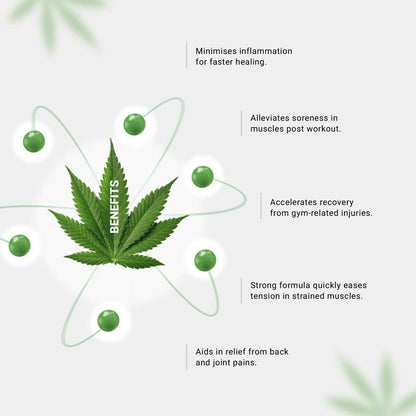 Image of a cannabis leaf with text bubbles highlighting its benefits in muscle and joint recovery.