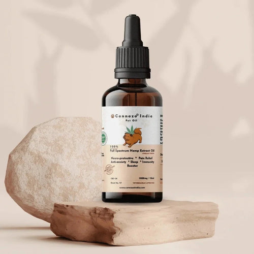 a bottle of cannazo pet cbd oil essential oil on a rock. 