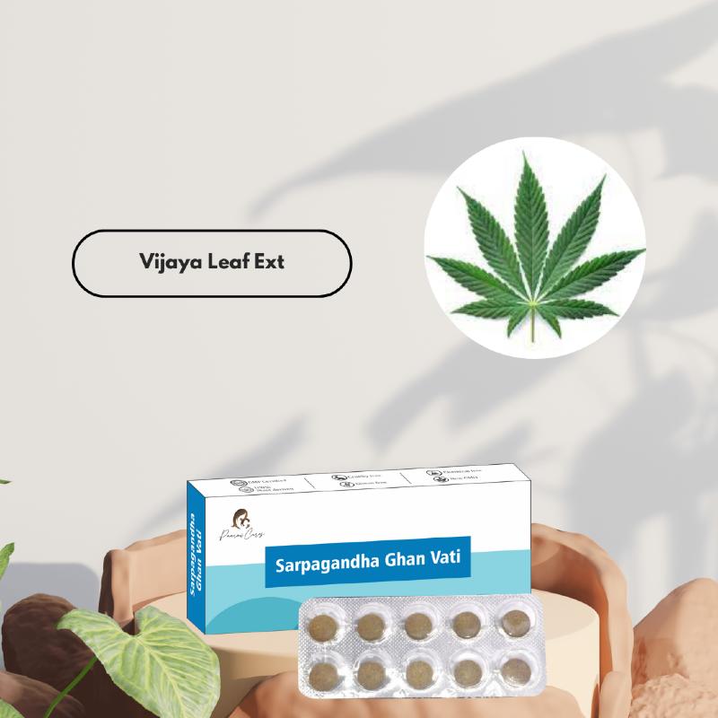 Paarmi Cares Sarpagandha Ghan Vati box and tablet blister pack with natural elements in the background. Inset of Vijaya Leaf Ext.