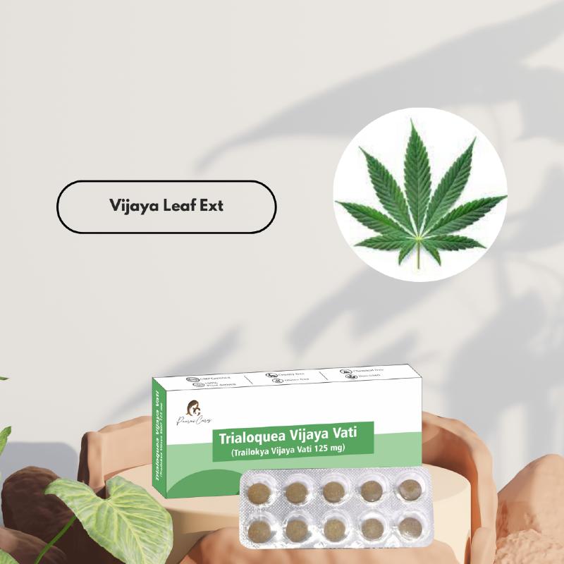 Paarmi Cares Trialoquea Vijaya Vati product box with a blister pack of tablets and text "Vijaya Leaf Ext."