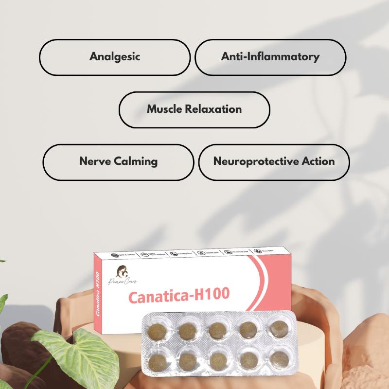 Medication package labeled Canatica-H100 by Paarmi Cares. Five labeled buttons above: Kuchala, Hingul, Sounth, Marich, and Vijaya.