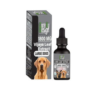 Vijaya Leaf Extract for large dogs by Pure Design, including bottle and packaging on a white background