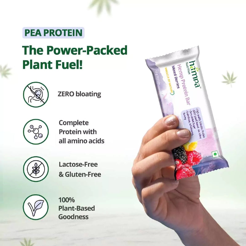 Hampa Hemp Protein Bar held by a hand with product details on a light green background