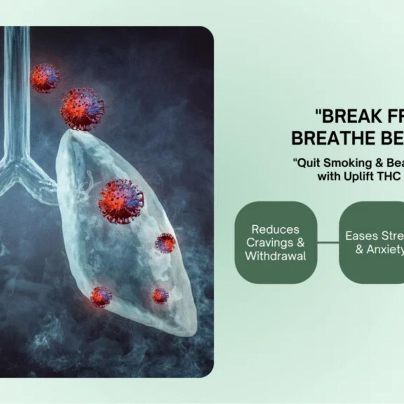 Illustration of lungs with red and purple particles, promoting a smoking cessation product.