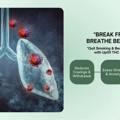 Illustration of lungs with red and purple particles, promoting a smoking cessation product.