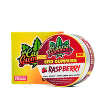 Load image into Gallery viewer, Attractive tin filled with indulgent raspberry CBD gummies.
