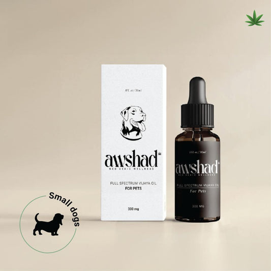 Full spectrum Vjaya oil for pets packaging with a dropper bottle next to its box, indicated for small dogs.Full spectrum Vjaya oil for pets packaging with a dropper bottle next to its box, indicated for small dogs.