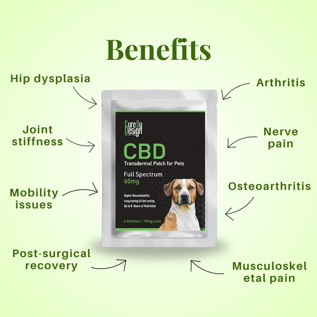 CBD patch for pets with labeled benefits on a green background