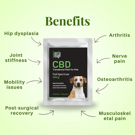 CBD patch for pets with labeled benefits on a green background