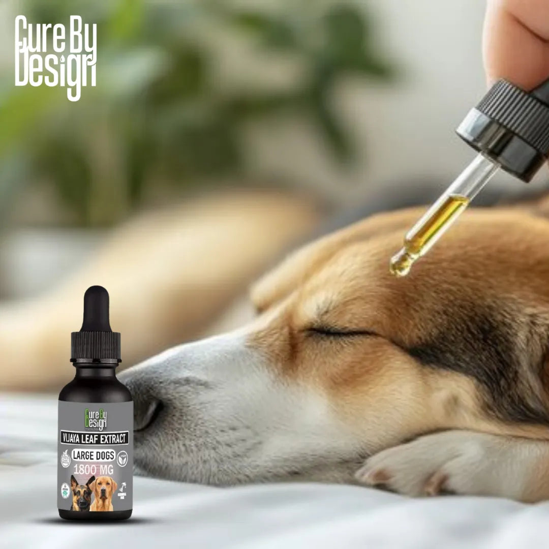 Dog receiving a dropper of a pet supplement with 'Cure By Design' branding.