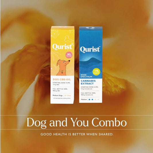 Two boxes labeled "Qurist Dog CBD Oil" and "Qurist Wide Spectrum Cannabis Extract" against an abstract amber background.