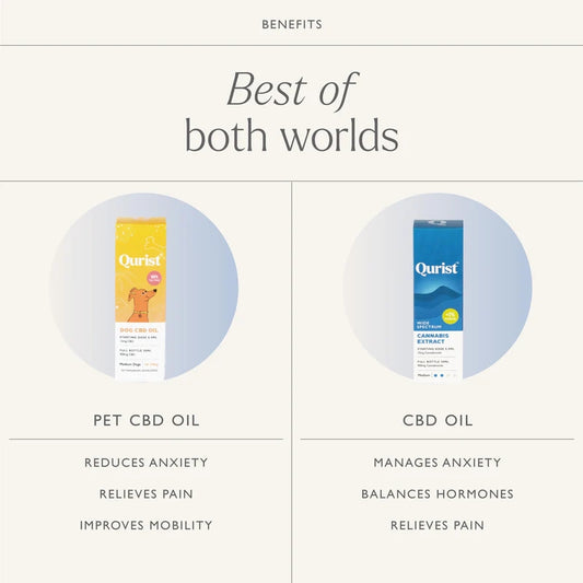 Qurist ad: "Best of both worlds." Left: Pet CBD Oil benefits. Right: CBD Oil benefits.