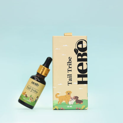 Bottle and box of Hebe Wellness Pet CBD oil against a teal background.

