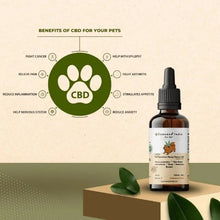 Load image into Gallery viewer, a bottle of cannazo pet cbd oil essential oil a square platform, and benefits listed around the pet paw logo. 
