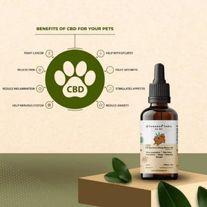 a bottle of cannazo pet cbd oil essential oil a square platform, and benefits listed around the pet paw logo. 