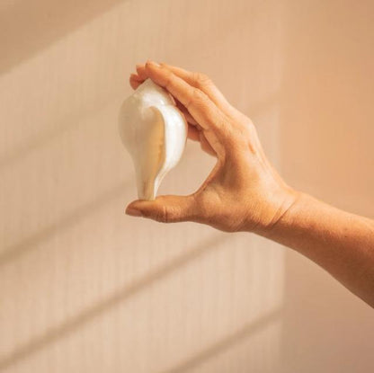 Hand holding a white, curved, bulb-like shell against a softly lit background.