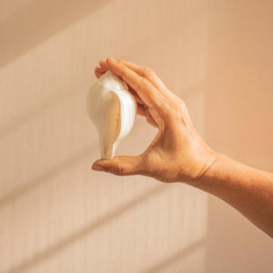 A hand holding a smooth, white conical shell (Shankh) against a sunlit beige background.