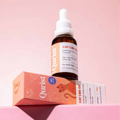 A bottle and box of Qurist cat CBD oil on a pink background.