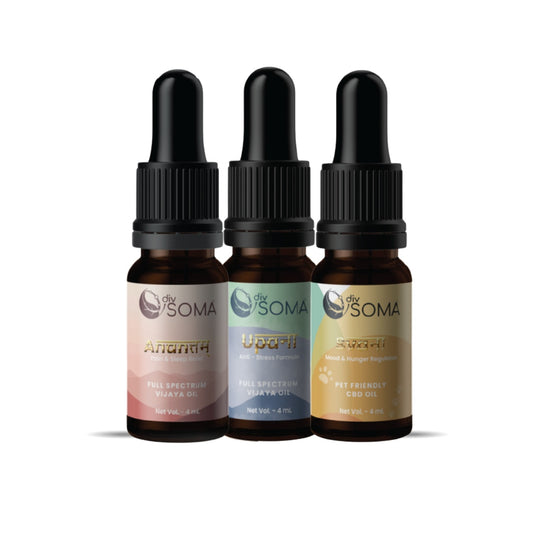 Three DivSoma CBD oil bottles on a white background