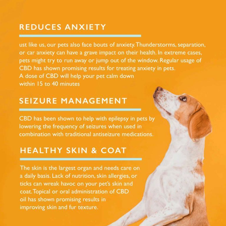 benefits-of-qurist-pet-cbd-oil-for-small-pets-listed-for-sale-at-cbd-shop-of-india