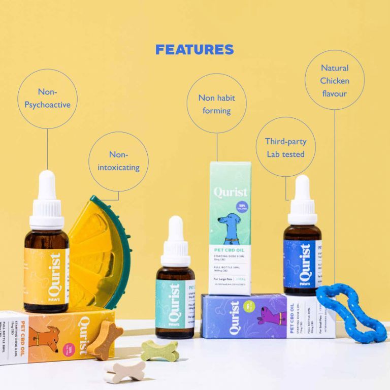 benefits-of-qurist-pet-cbd-oil-for-small-pets-listed-for-sale-at-cbd-shop-of-india